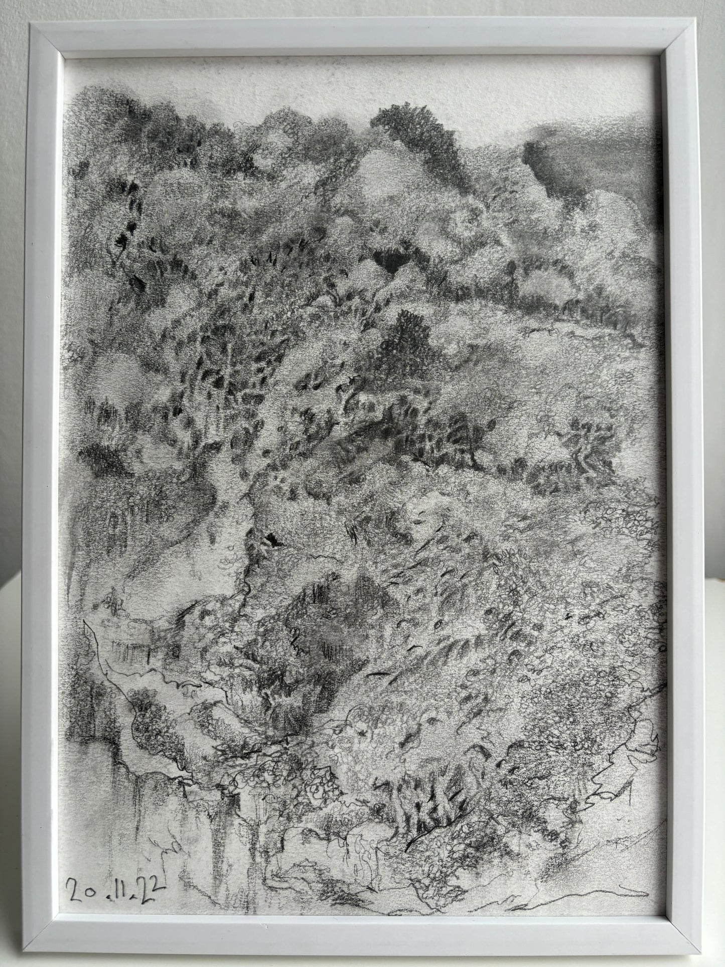 LANDSCAPE (BIRDS EYE) (unframed)