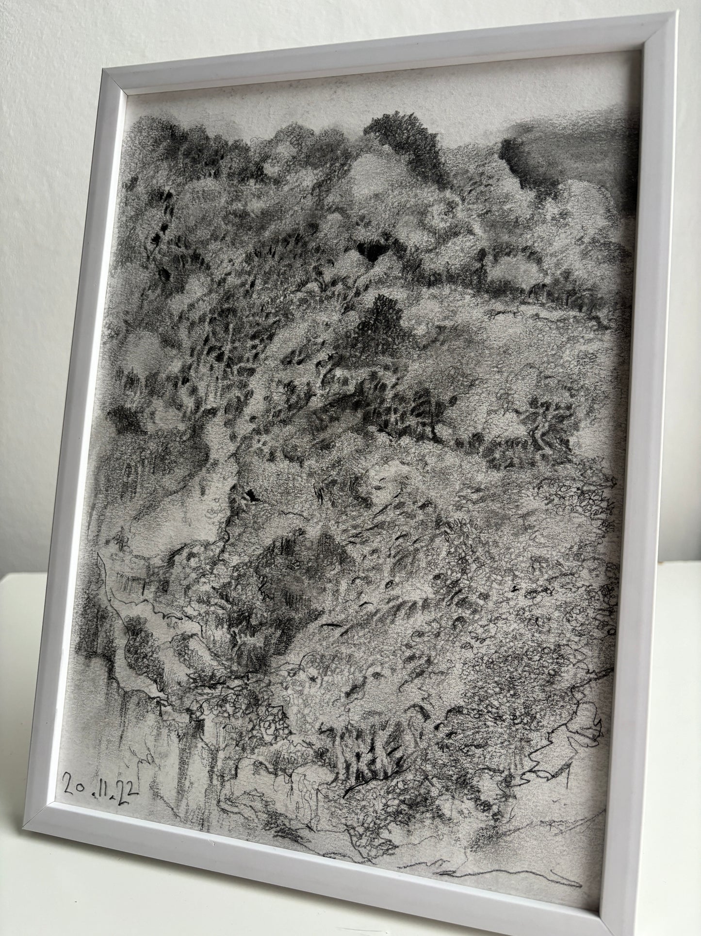 LANDSCAPE (BIRDS EYE) (unframed)