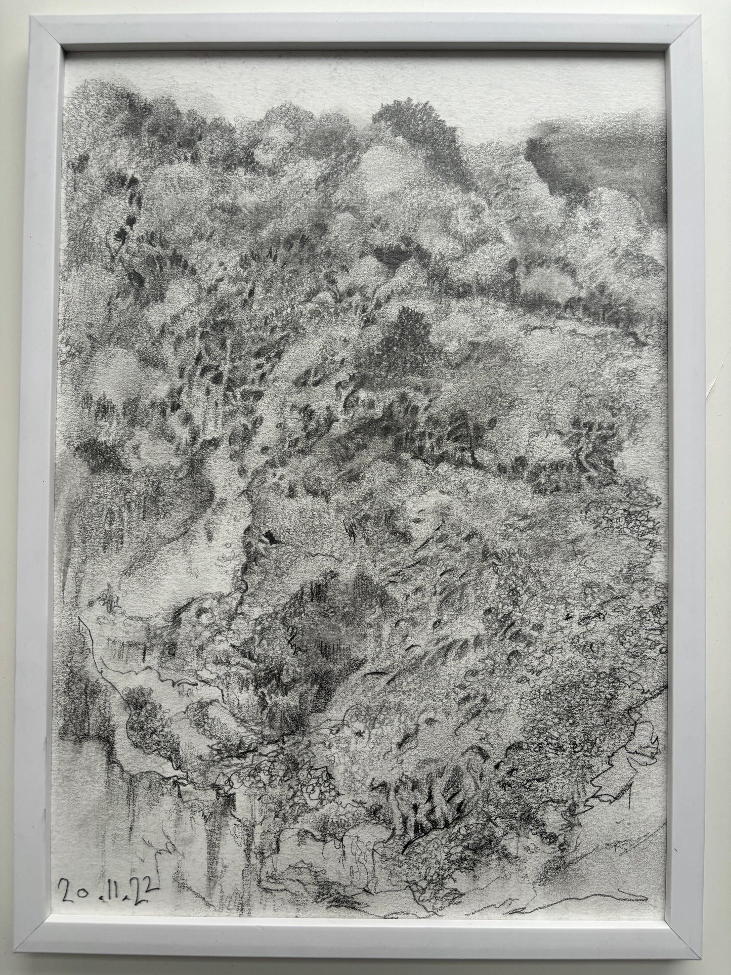 LANDSCAPE (BIRDS EYE) (unframed)