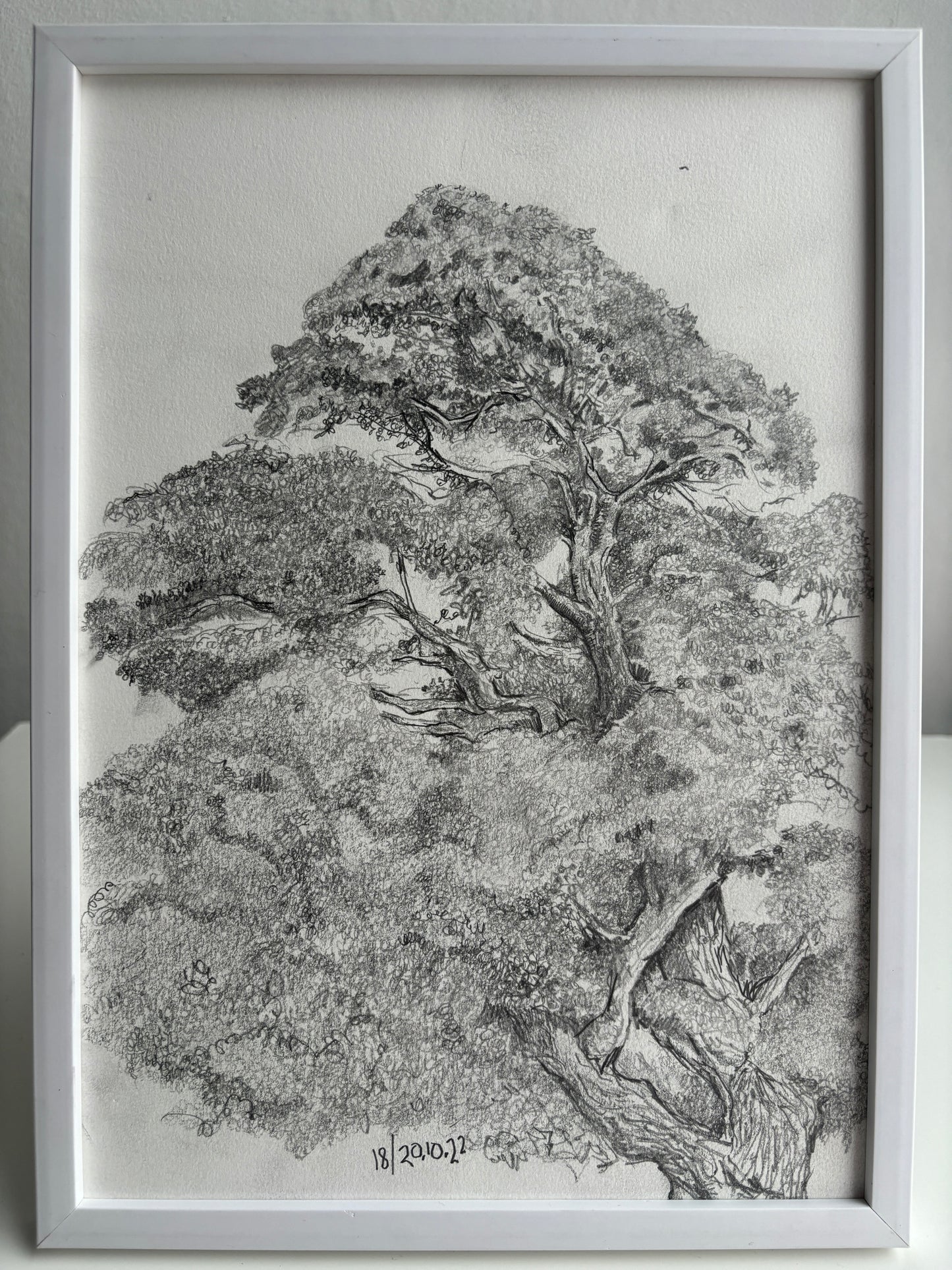 TREE (unframed)